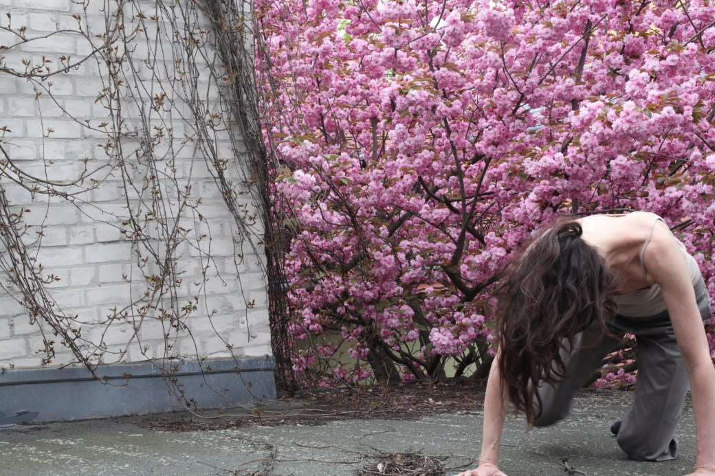 Beauty, pic Florence Freitag